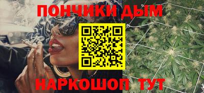 индика Краснознаменск