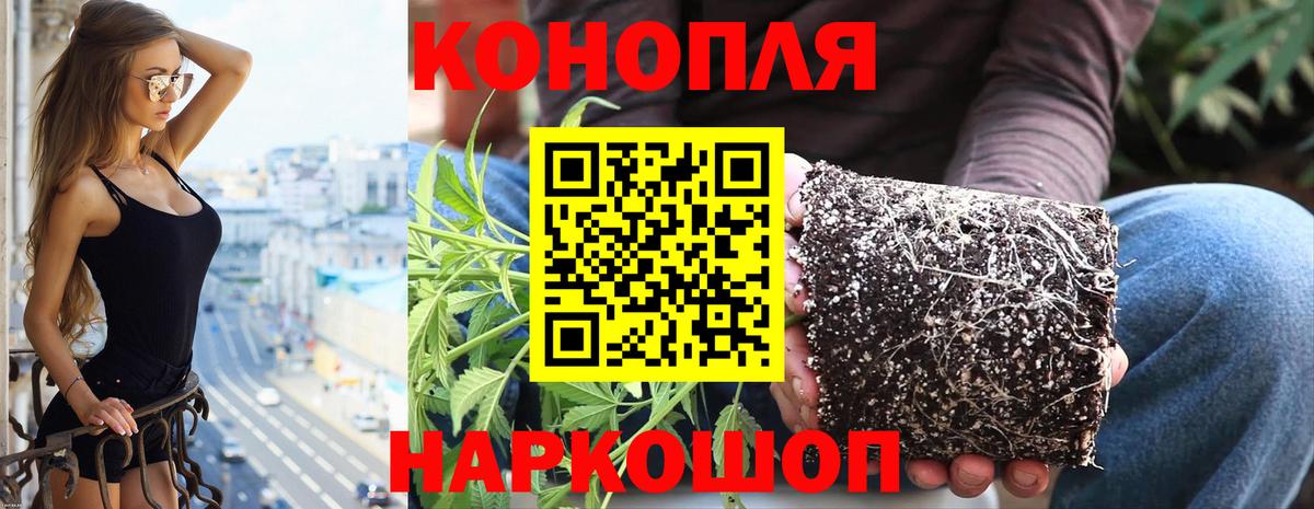 Каннабис Amnesia  Вход с VPN  Керчь  Шишки марихуана конопля 